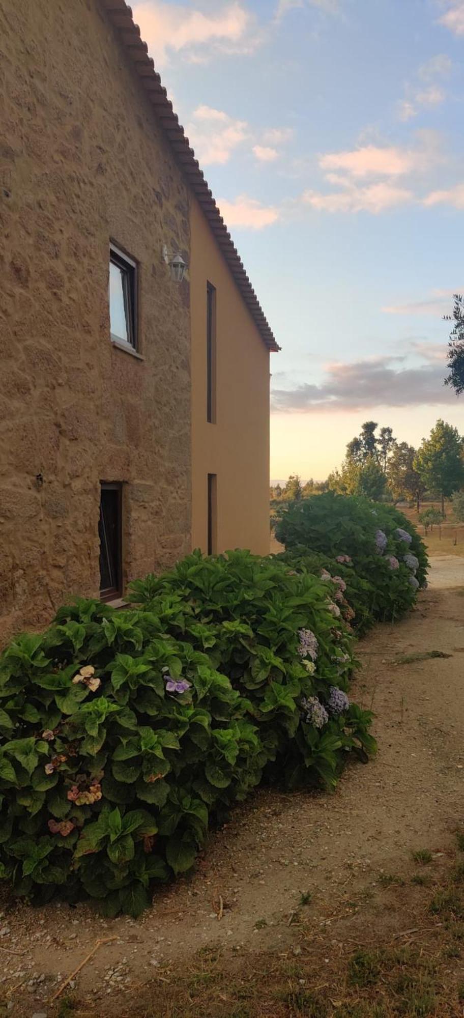 Hostal Quinta Damigo Seia Exterior foto