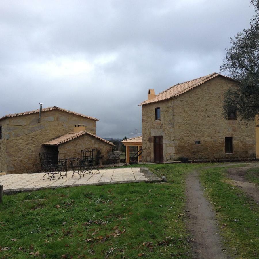 Hostal Quinta Damigo Seia Exterior foto